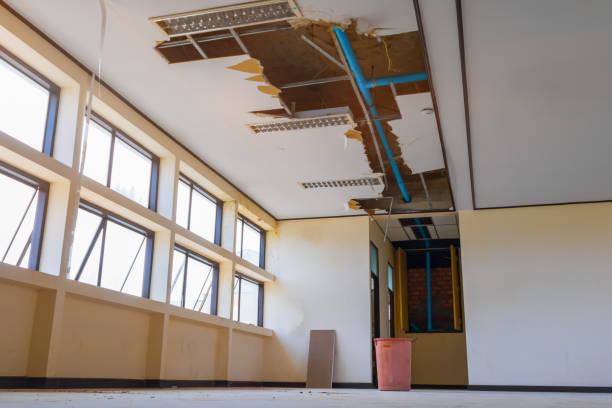Best Water damage restoration insurance claims  in Three Oaks, FL