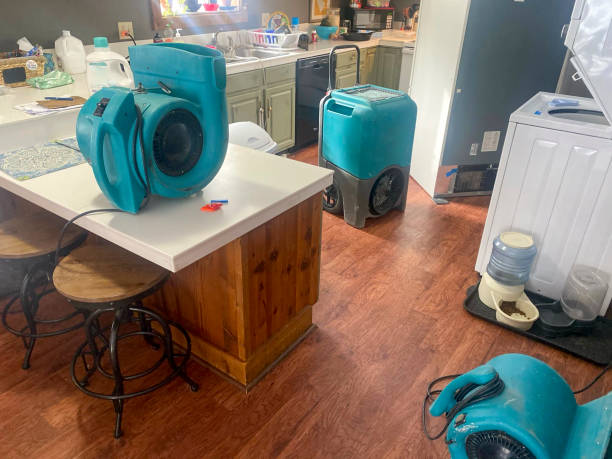 Best Fire Damage Restoration  in Three Oaks, FL