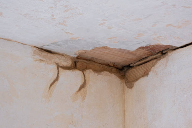 Carpet water damage restoration in FL