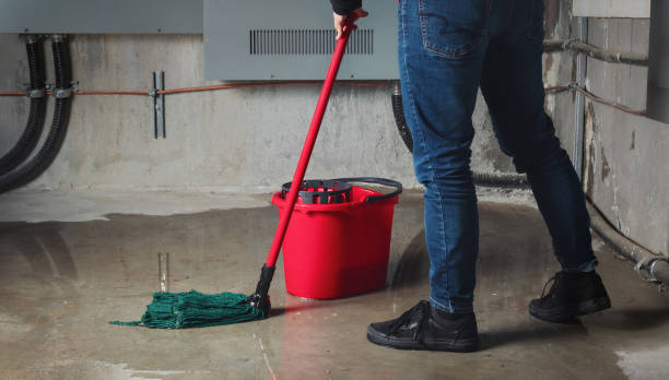 Best Flood damage cleanup  in Three Oaks, FL
