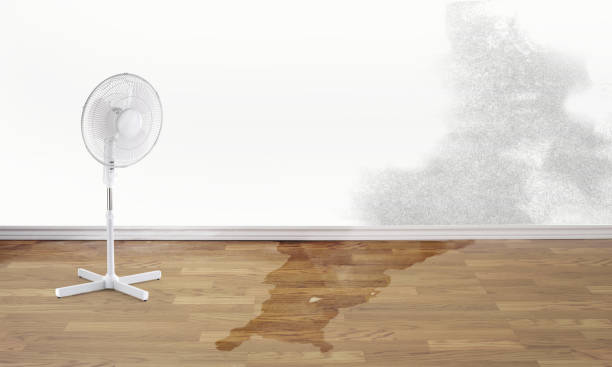 Best Commercial water damage restoration  in Three Oaks, FL