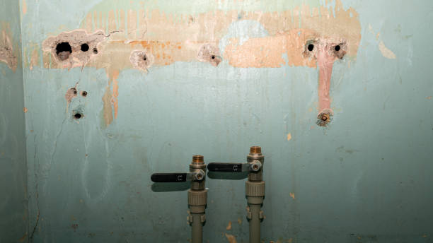 Best Basement water damage restoration  in Three Oaks, FL