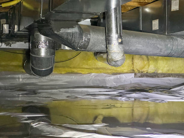 Best 24/7 water damage repair  in Three Oaks, FL