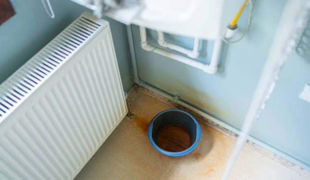Best Carpet water damage restoration  in Three Oaks, FL