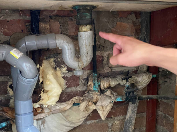 Best Ceiling water damage repair  in Three Oaks, FL
